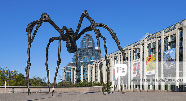 Nationalgalerie von Kanada,  Spider-Skulptur von Louise Bourgeois; Ottawa,  Ontario,  Kanada'.