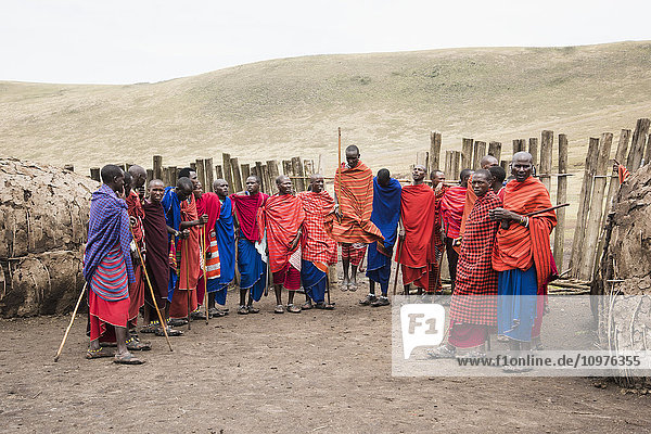 Massai-Krieger in farbenfroher Kleidung bei der Aufführung eines traditionellen Tanzes  Ngorongoro Conservation Area  Tansania.