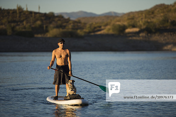 'Stand up paddle boarding on tranquil Lake Pleasant; Arizona United States of America'