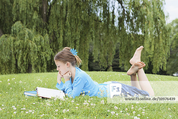 Mädchen liegt im Park und liest ein Buch; Toronto  Ontario  Kanada'.