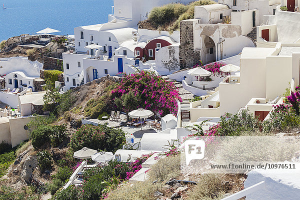 Blick auf die Villen und Gärten des Dorfes Oia am Hang; Oia  Santorin  Kykladen  Griechenland'.
