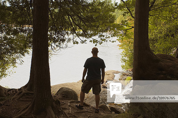 'Man standing in forest looking out over lake; Bracebridge  Ontario  Canada'