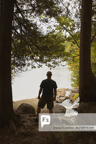 'Man standing in forest looking out over lake; Bracebridge  Ontario  Canada'