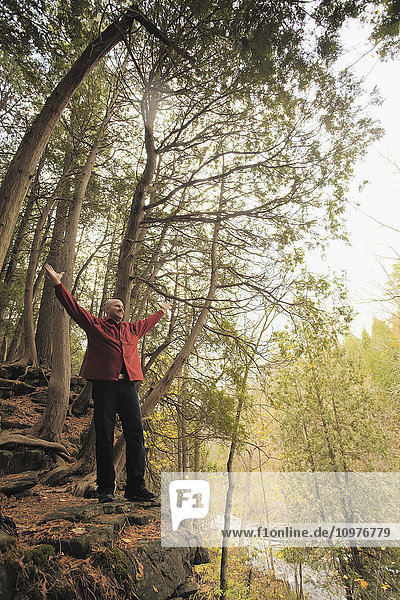 Mann steht mit erhobenen Armen am Waldrand; Milton  Ontario  Kanada'.