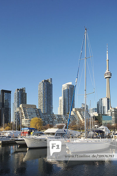 'Marina and Toronto skyline; Toronto  Ontario  Canada'