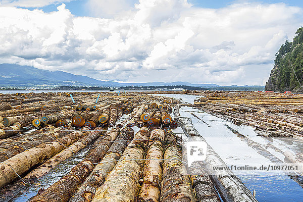 Eine schwimmende Holzsortieranlage an der Westküste für ein Holzfällerunternehmen auf dem Meer; British Columbia  Kanada