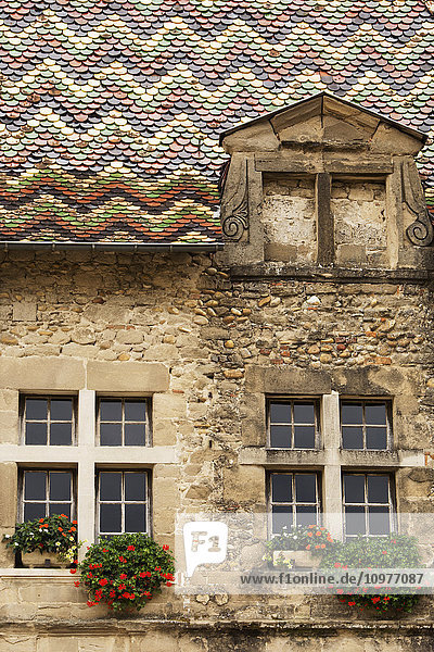 Nahaufnahme eines farbigen Ziegeldachs und von Fenstern in einem Dorfgebäude; Saint Antoine l'abbaye  Isere  Frankreich'.