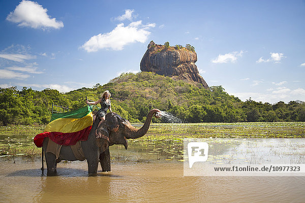 Eine Frau auf einem srilankischen Elefanten (Elephas maximus)  Sigiriya  ein antiker Palast im zentralen Matale-Distrikt in der Nähe der Stadt Dambulla im Hintergrund; Zentralprovinz  Sri Lanka'.