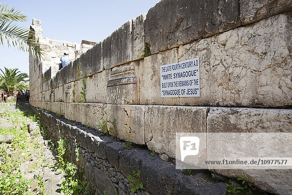'Sign on the wall of the White Synagogue telling that it is built over the site of the Synagogue of Jesus; Capernaum  Israel'