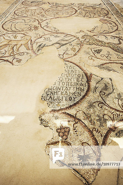'Mosaic floor displayed at the Samaritan Inn from the synagoge at Gaza  near Jerusalem; Israel'
