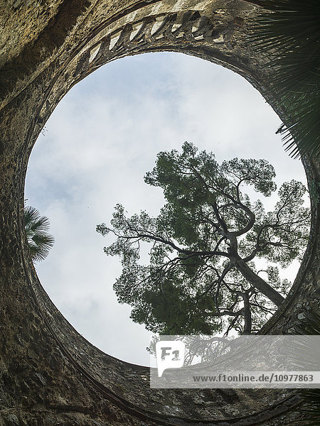 'View looking up through a circular opening to a cloudy sky and tree; Ravello  Italy'