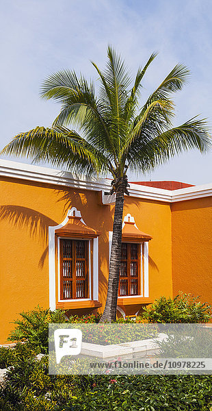 Leuchtend orangefarbenes Haus mit einer Palme; Playa del Carman  Quintana Roo  Mexiko