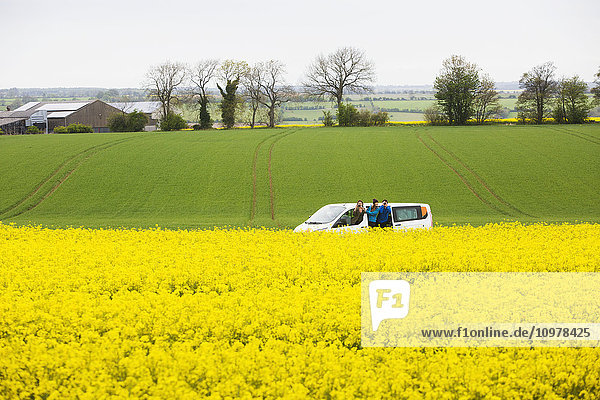 Eine Fahrt durch die englische Landschaft  die mit leuchtend gelben Rapsblüten bedeckt ist; Cotswolds  England'.