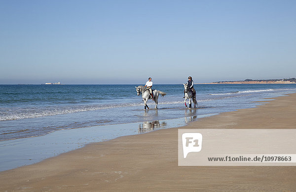 'Horseback riding on the beach at the water's edge; Chiclana de la Frontera  Andalusia  Spain'