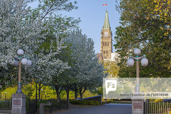 'Parliament buildings seen from Majors Hill Park; Ottawa  Ontario  Canada'