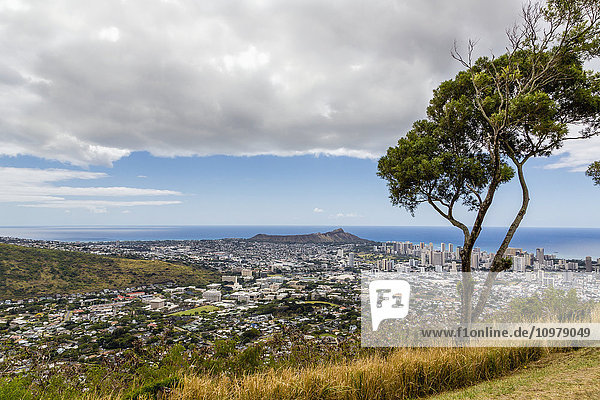 Downtown Honolulu und Diamond Head mit einem Baum im Vordergrund; Honolulu  Oahu  Hawaii  Vereinigte Staaten von Amerika'.