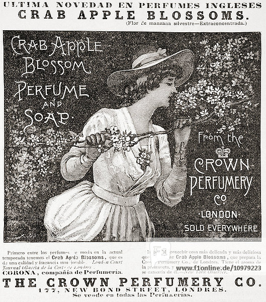 Werbung aus dem 19. Jahrhundert für Krabbenapfelblüten-Parfüm und Seife von The Crown Perfumery Co. London  gegründet 1872. Aus La Ilustracion Española y Americana  veröffentlicht 1892.