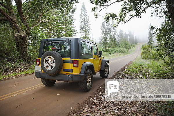 Ein gelber Jeep mit Allradantrieb; Lanai  Hawaii  Vereinigte Staaten von Amerika'.