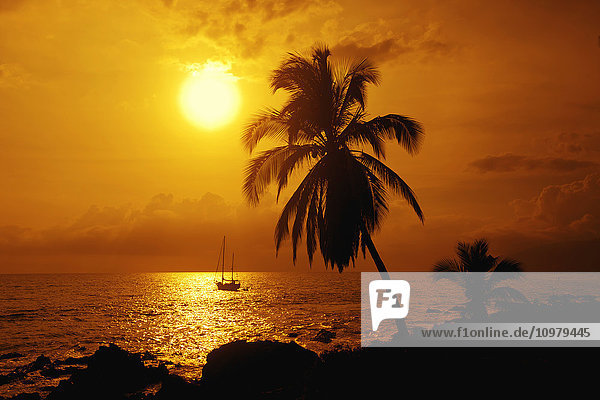 'Segelboot und Palme bei Sonnenuntergang; Kihei  Maui  Hawaii  Vereinigte Staaten von Amerika'.