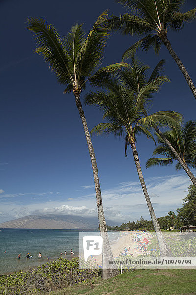 'Sun bathers  swimmers  coconut trees  Kama'ole II & III Beach Park  (in distance) West Maui Mountains; Kihei  Maui  Hawaii  United States of America'