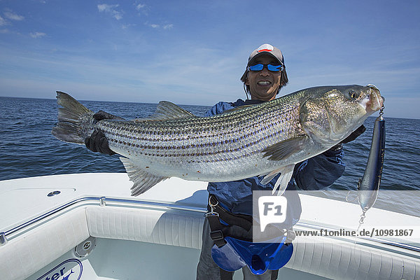 'Fisherman holding a fresh caught Striped Bass (Morone saxatilis); Cape Cod  Massachusetts  United States of America'