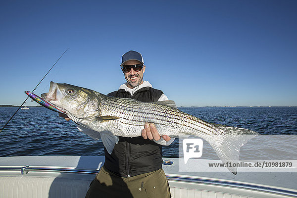'Fisherman holding a fresh caught Striped Bass; Cape Cod  Massachusetts  United States of America'