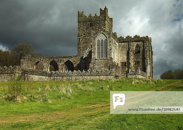 Tintern Abbey; Grafschaft Wexford  Irland'.