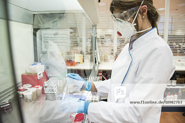 Laboratory technician in analytical laboratory culturing cells in petri dish