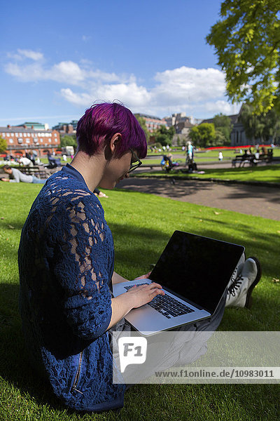 Young woman with dyed hair sitting on a meadow using laptop