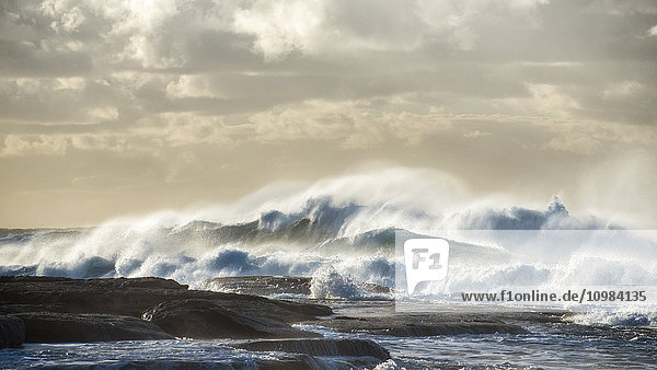 Australien  New South Wales  Sydney  Tasmanische See  Wellen  Surfen