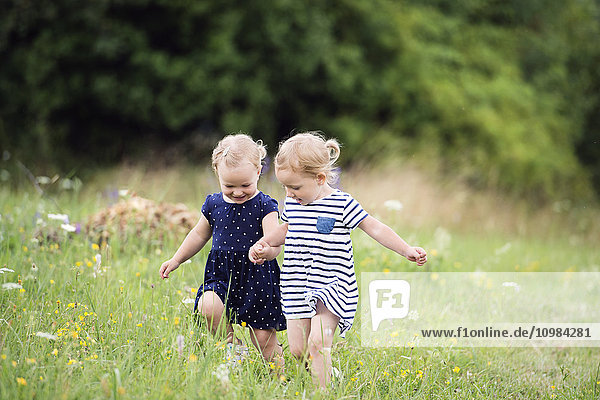 Zwei kleine Schwestern  die Hand in Hand auf einer Wiese rennen