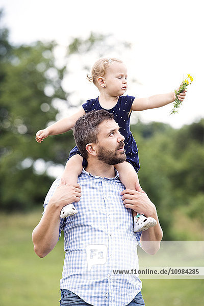 Father carrying little daughter on shoulders in nature