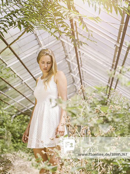 Blond young woman in white dress standing in greenhouse