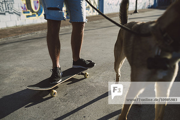 Skateboarder mit seinem Hund im Skatepark  Teilansicht
