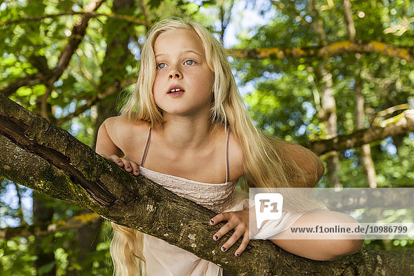 Porträt eines blonden kleinen Mädchens  das auf einen Baum klettert.