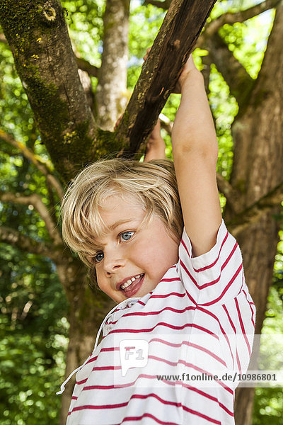 Glücklicher kleiner Junge klettert auf einen Baum
