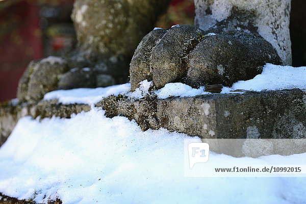 Statuen-Detail am Hakone-Schrein an einem Wintermorgen  Hakone  Japan