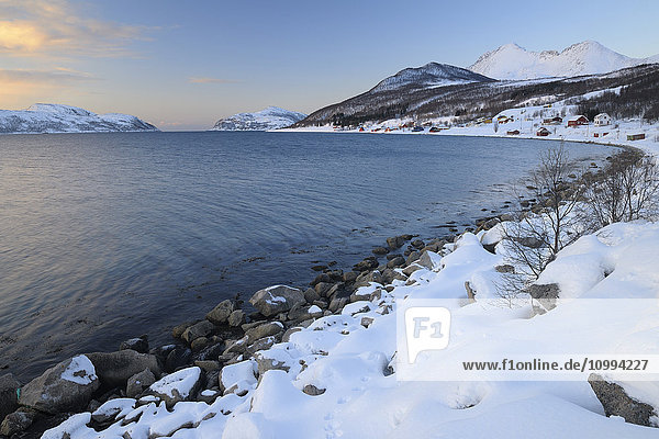 Küste im Winter  Sorfjorden  Vasstrand  Troms  Norwegen