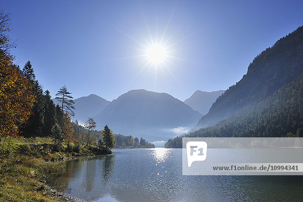 Helle Sonne über dem See im Herbst  Plansee  Tirol  Österreich
