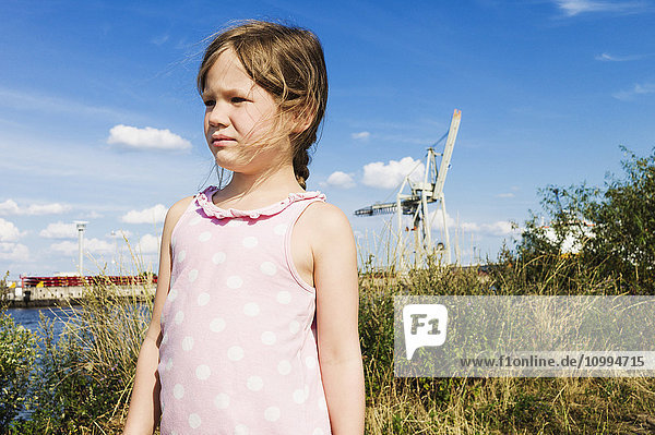 5 Jahre altes Mädchen auf einem Feld in der Nähe eines Hafens an einem sonnigen Tag  Deutschland