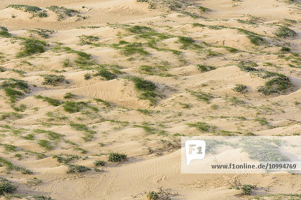 Aerial view of Sand Dunes Rubjerg Knude Lokken North Jutland Denmark
