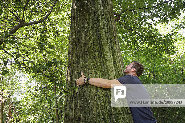 Mann umarmt Baum