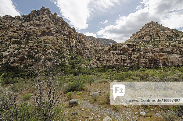 Nevada  Red Rock Canyon  Landschaft mit Felsbergen