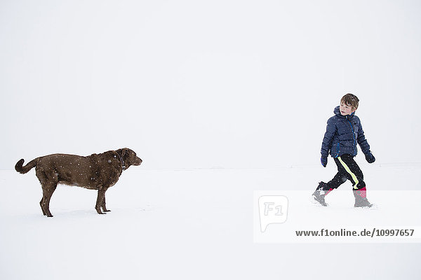 Junge (6-7) beim Spaziergang mit Hund