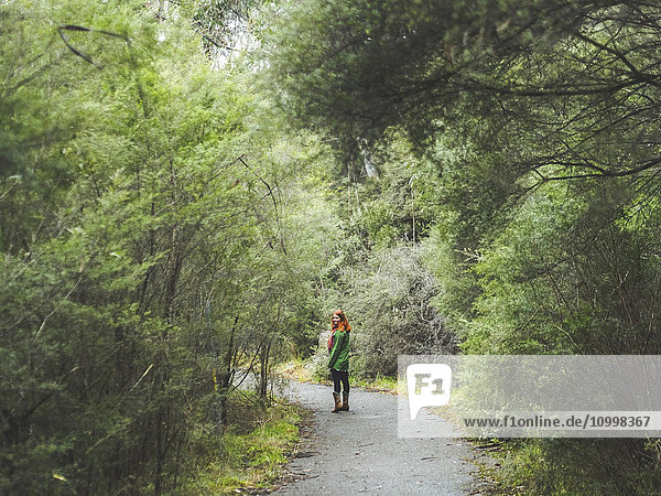 Australien  New South Wales  Katoomba  Junge Frau steht auf leerer Straße im Wald