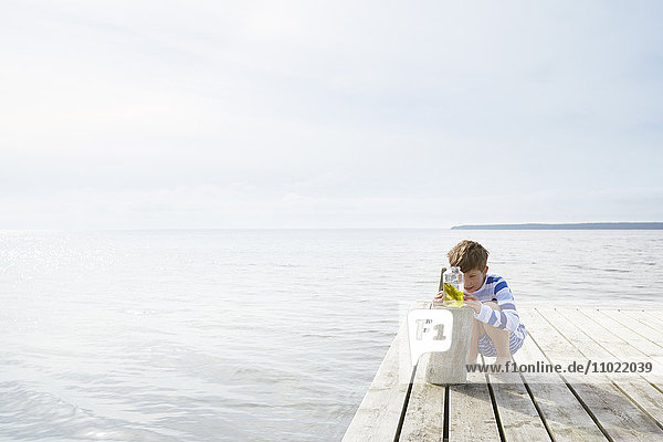 Junge untersucht Seetang im Glas am sonnigen Seeuferdock