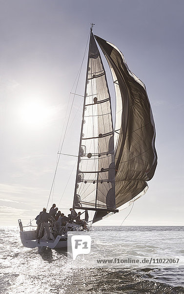 Segelboot auf dem sonnigen Meer