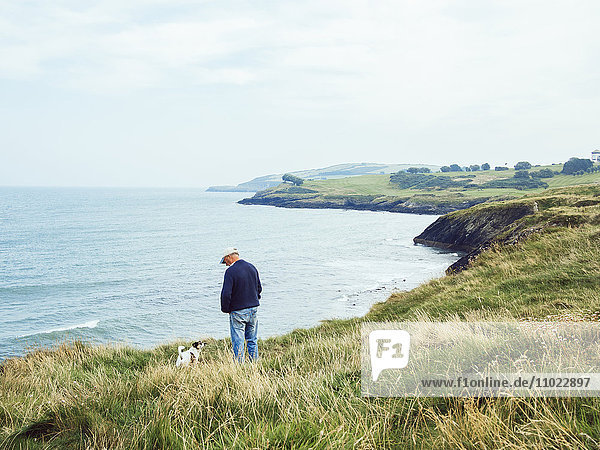 Rear view of man standing with dog on grassy hill by sea