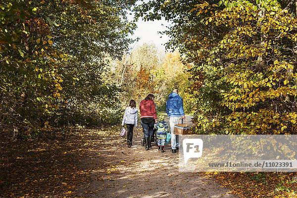 Rear view of parents with children walking on footpath amidst trees during autumn