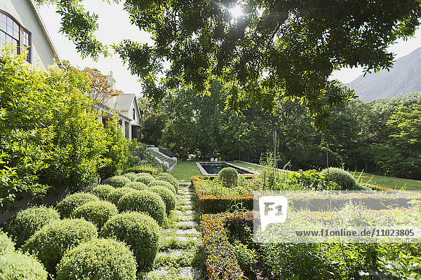 Sonniger  üppig grüner Garten vor dem Luxushaus